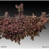 Native Copper
10 cm x 5 cm x 2 cm
(Autor: silvia)