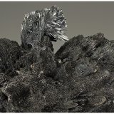 Berthierite, Stibnite, Tetrahedrite
16 cm x 14 cm x 7 cm
(Autor: silvia)