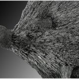 Berthierite
8 cm x 4 cm x 4 cm
(Autor: silvia)