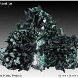 Brochantite
60 mm x 50 mm x 15 mm
(Autor: silvia)