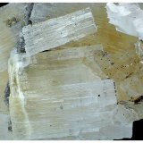 Fluorapatite, Topaz, Goyazite, Muscovite
4 cm x 3 cm x 3 cm
(Autor: silvia)