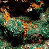 Conichalcite over Austinite
(Autor: Michael Shaw)