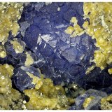 Fluorite, Siderite, Pyrite
8 cm x 6 cm x 4 cm
(Autor: silvia)