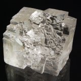 5.0 x 6.3 cm
(Autor: Michael Shaw)
