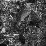 Cylindrite
90 mm x 70 mm x 60 mm
(Autor: silvia)