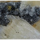 Fluorapatite, Topaz, Goyazite, Muscovite
4 cm x 3 cm x 3 cm
(Autor: silvia)