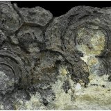 Arsenic
13 cm x 8 cm x 2 cm
(Autor: silvia)