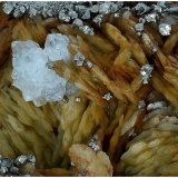 Siderite, Pyrite, Quartz
110 mm x 80 mm x 70 mm
(Autor: silvia)