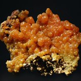 Pyromorphite
5.5 x 7.1 cm
(Autor: Michael Shaw)