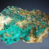 Brochantite and spangolite on a quartz and barite matrix
5 x 6.9 cm
(Autor: Michael Shaw)