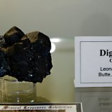 Digenite
Appox. 6.0 cm across
(Autor: Michael Shaw)