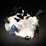 Benitoite
3.3 x 6.2 cm
(Autor: Michael Shaw)