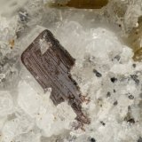 Pseudobrookite
FOV = 1.0 mm
(Autor: Doug)