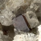 Pseudobrookite
FOV = 1.1 mm
(Autor: Doug)