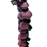 Copper
63 mm x 10 mm. Major crystal size: 8.5 mm wide - Mass: About 13 g.
(Autor: Carles Millan)