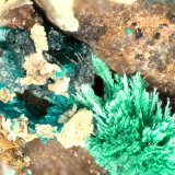 Pseudomalachite, Malachite, Dioptase
FOV = 3.4 mm
(Autor: Doug)