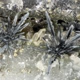 Acanthite
FOV = 2.3 mm
(Autor: Doug)