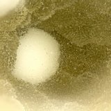 Boggsite, Tschernichite
FOV = 2.0
(Autor: Doug)