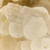 Thomsonite, 'Stilbite'
FOV = 3.6 mm
(Autor: Doug)