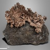 Copper
34 x 26 mm
(Autor: Manuel Mesa)