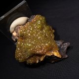 Pyromorphite
80 mm x 65 mm x 30 mm
(Autor: Robert Seitz)