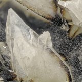 Tschernichite
FOV = 4.0 mm
(Autor: Doug)