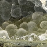 Cowlesite
FOV = 3.4 mm
(Autor: Doug)