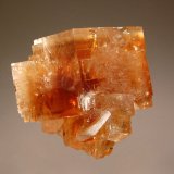 Fluorite
3.0 x 3.5 cm
(Autor: Michael Shaw)