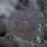 Fluorapophyllite
x-tal = 19 mm
(Autor: Rob Schnerr)