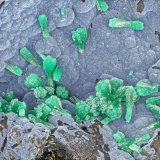 Malachite
FOV = 4.0 mm
(Autor: Doug)