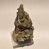 Wolframite, Calcite, Dolomite
50 X 33 X 25
(Autor: Robert Seitz)