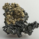 Zircon, Aegirine, Orthoclase
39 x 30 x 26 mm
(Autor: Rob Schnerr)
