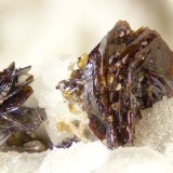 Pyrophanite
FOV = 4mm
(Autor: Doug)