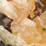 Serandite
FOV = 4mm
(Autor: Doug)