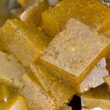 Siderite
FOV = 4mm
(Autor: Doug)