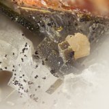Steacyite
FOV = 2mm
(Autor: Doug)