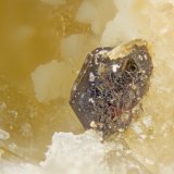 Steenstrupine-(Ce)
FOV = 2mm
(Autor: Doug)