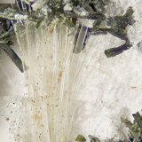 Tainoiolite
FOV = 4mm
(Autor: Doug)