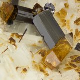 Titanite, Amphibole Group Mineral, Molybdneite
FOV = 4mm
(Autor: Doug)