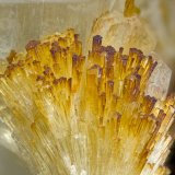 Vesuvianite
FOV = 4mm
(Autor: Doug)