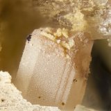 Willemite
FOV = 2mm
(Autor: Doug)