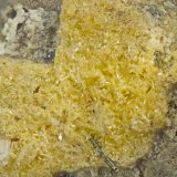 Wulfenite
FOV = 2mm
(Autor: Doug)