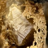 Anatase
FOV = 1.5 mm
(Autor: Doug)