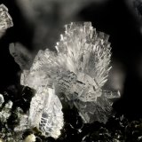 'Heulandite'
FOV = 3.6 mm
(Autor: Doug)