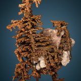 Copper
5.5cm x 4.0cm
(Autor: rweaver)