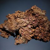 (Autor: Michael Shaw)
