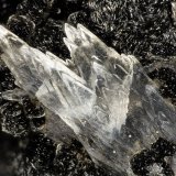 Calcite
FOV = 3.8 mm
(Autor: Doug)