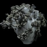 Allargentum
35 x 32 x 10 mm
(Autor: Rob Schnerr)