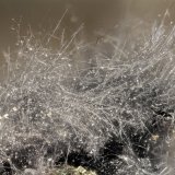 Boulangerite
FOV = 4.0 mm
(Autor: Doug)