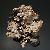 Brookite
5.0 x 5.3 cm
(Autor: Michael Shaw)